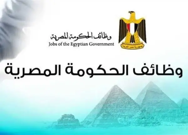 وظائف حكومية جديدة في مصر مايو 2025: التخصصات المطلوبة وكيفية التقديم