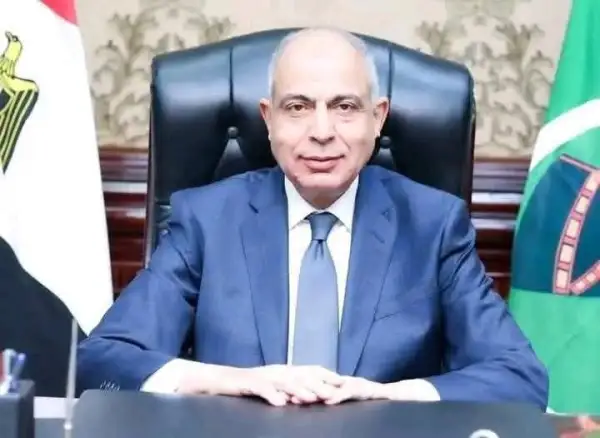 «عماد كدواني».. حارس أرض الدولة الذي أعاد للمنيا وجهها العادل