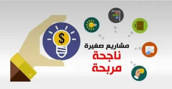 كيف تبدأ مشروع برأس مال صغير في مصر 2025 وتحقق دخل يومي مضمون؟