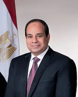 النائب محمد نشأت العمدة يهنئ الرئيس السيسي وقيادات الدولة بذكرى ثورة 30 يونيو