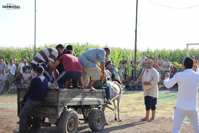 بطولة كأس الفلاحين