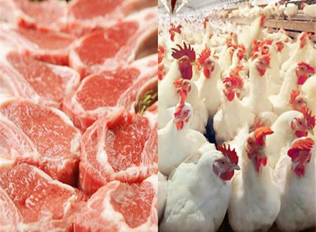 أسعار اللحوم والفراخ
