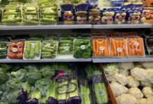 أرخص محلات لبيع الخضروات و المواد الغذائية في فيرجينيا