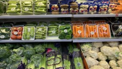 أرخص محلات لبيع الخضروات و المواد الغذائية في فيرجينيا