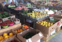أرخص محلات لبيع الخضروات و المواد الغذائية في فلوريدا