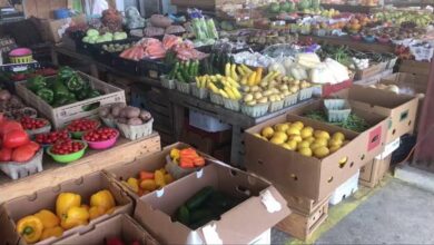 أرخص محلات لبيع الخضروات و المواد الغذائية في فلوريدا
